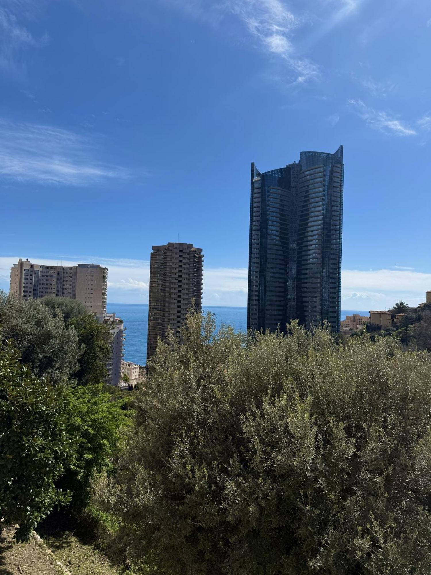 De Luxe Portes De - Vue - Piscine - Wifi Monte Carlo