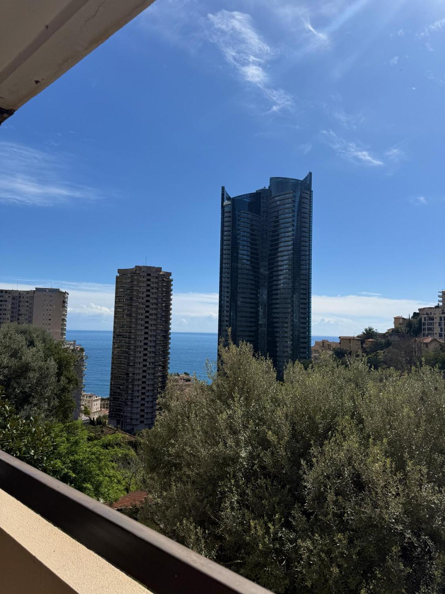 De Luxe Portes De - Vue - Piscine - Wifi * Monte Carlo